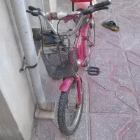 دوچرخه صورتی ۱۶