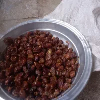 شیره خرما صددرصد ارگانیک و تازه|خوردنی و آشامیدنی|باینگان, |دیوار