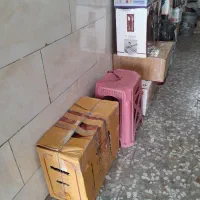 مرغ لاری اوشامو فستیوالی|حیوانات مزرعه|تهران, اقدسیه|دیوار