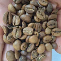 دان قهوه درجه یک|خوردنی و آشامیدنی|تهران, عباسی|دیوار