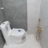 نصب و نصاب و تعمیر تخصصی توالت فرنگی سرویس فرنگی|خدمات پیشه و مهارت|کرمان, |دیوار