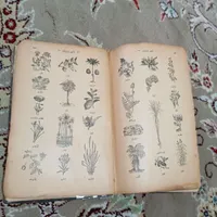 کتاب بسیارقدیمی درباره گیاهان دارویی|کتاب و مجله مذهبی|شاهین دژ, |دیوار