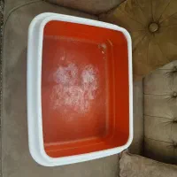 ظرف خاک گربه