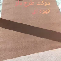 موکت|موکت|تربت‌حیدریه, داروپخش|دیوار