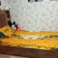 سرویس خواب یک نفره ، کمد، جاکفشی