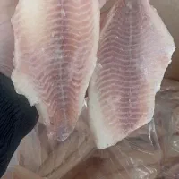 فیله تیلاپیا ایرانی بدون پوست کارتنی
