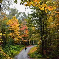 کارت هدیه ورود به برنامه کسب درآمد در منزل