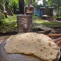 تور طبیعت گردی یکروزه با ناهار و بیمه