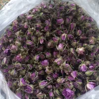 غنچه گل محمدی