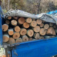 خرید چوب و کنده