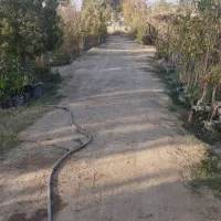 **۱۵۰۰ متر زمین اجاره‌ای در ماهدشت**|اجارهٔ دفتر صنعتی، کشاورزی، تجاری|محمدشهر, محمدشهر|دیوار