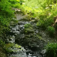 زمین-سند-دار