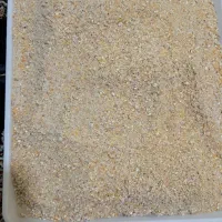 دان بوقلمون|حیوانات مزرعه|مبارکه, |دیوار