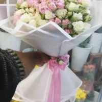 رز مینیاتوری ۷۹۰|گل و گیاه طبیعی|شیراز, خلدبرین|دیوار