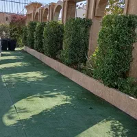 باغبانی|خدمات باغبانی و درختکاری|کرمانشاه, |دیوار