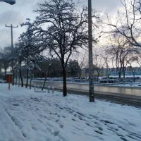 کارت بانکی  مقدسی پاوا پیدا شده