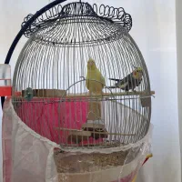 تمامی لوازم با قیمت خیلی کم به فروش میرسد|حراج|مشهد, شهید هاشمی نژاد|دیوار