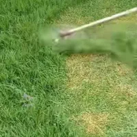 علفتراشی و حرس علفهای حرض باغ و مزارع|خدمات باغبانی و درختکاری|لنگرود, |دیوار