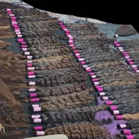 مرکز تخصصی فروش مو طبیعی خرید مو