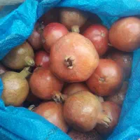 انار تازه
