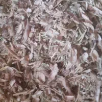 کاه لوبیا وضایعات لوبیا