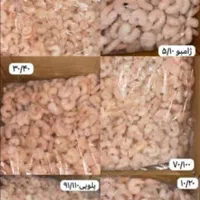 پخش میگو دریایی|خوردنی و آشامیدنی|اهواز, شهرک نفت|دیوار