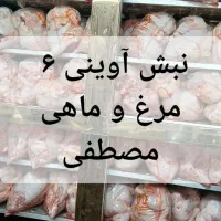 کالابرگ مرغ ماهی،بوقلمون۳۱۰،گوشت منجمد|خوردنی و آشامیدنی|ساوه, |دیوار