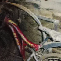 دوچرخه ۲۰و۲۴|دوچرخه، اسکیت، اسکوتر|زهک, |دیوار