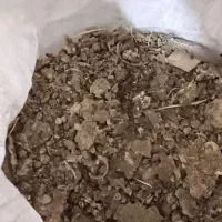 کود کبوتر