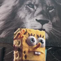 چاپ عکس برگه گلاسه و شاسی همه سایز|خدمات رایانهای و موبایل|مشهد, هنرور|دیوار