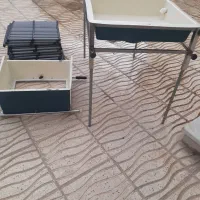 سورتر ماهی قزل آلا
