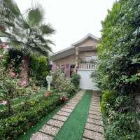 نیم پیلوت به این زیبایی تا حالا ندیدم لذتشو ببرین