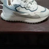 کفش نو|کیف، کفش، کمربند|کوهدشت, |دیوار