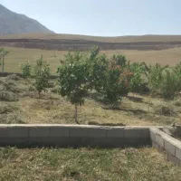 زمین 235 متر زمین داخل بافت کاربری مسکونی طالقان