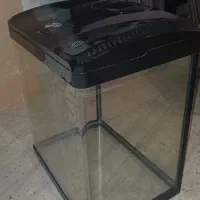 آکواریوم ماهیران شرکتی