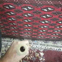 فلوت عربی و ساز سرنا|سازهای بادی|قم, خاکفرج|دیوار