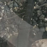 اکواریوم ماهیران شیشه خم|ماهی|اصفهان, کوی شهید کشوری|دیوار