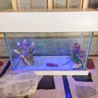 اکواریوم ماهی mdf با نورپردازی بدونه خط و خش