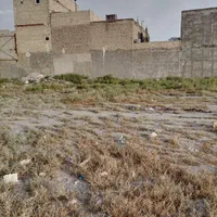 فروش زمین ۱۱۵ متری در خواجه ربیع روستای زیرکن