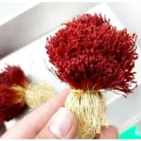 پودر زعفران قائنات