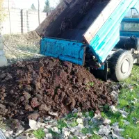 فروش کود حیوانی خاک برگ خاک باغچه و...|خدمات باغبانی و درختکاری|لنگرود, |دیوار