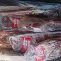 دست گوسفند مغولی