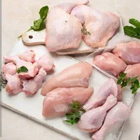 پخش مرغ و قطعه کاری مرغ روز