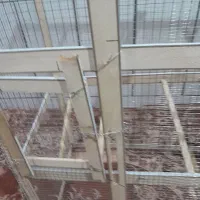 قفص|لوازم جانبی حیوانات|امیدیه, |دیوار