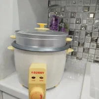 پلوپز و بخارپز چند کاره نو