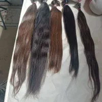 خرید و فروش مو