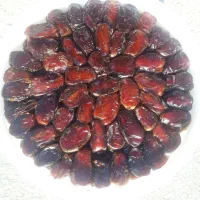 خرما کبکاب ،خاصویی خاصی ،استعمران خوزستان صادراتی|خوردنی و آشامیدنی|تهران, نیروی هوایی (پیروزی)|دیوار