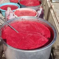 اب گوجه گیری ابگیری   درب منزل شما
