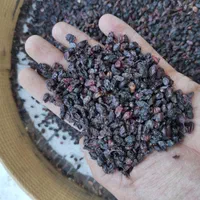 زرشک کوهی تمیز