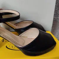 کفش نو|کیف، کفش، کمربند|فردوس (خراسان), |دیوار